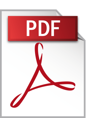 New_York_attorney_pdf_icon